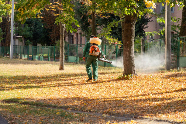 Best Commercial Pest Control Services  in Beavercreek, OH